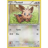 108/146 - Yorkleff