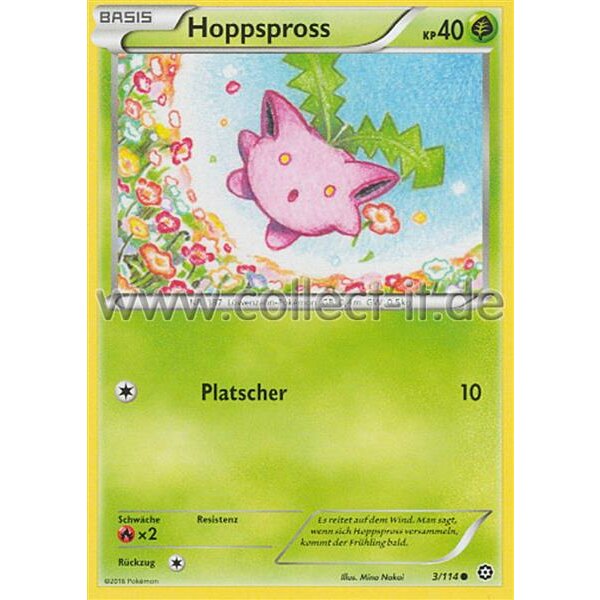 3/114 Hoppspross - XY Dampfkessel