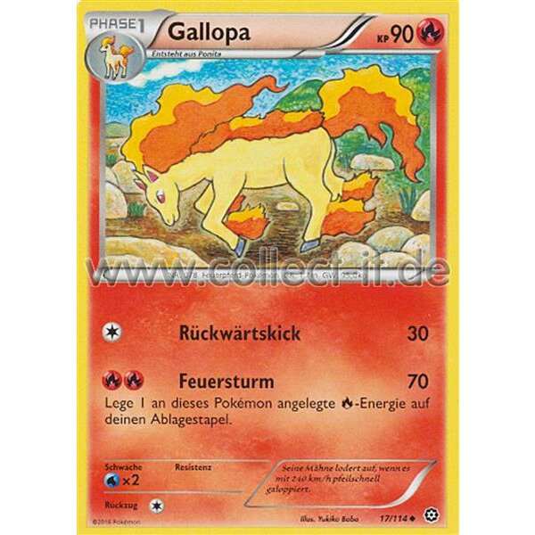 17/114 Gallopa - XY Dampfkessel