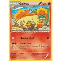 17/114 Gallopa - XY Dampfkessel