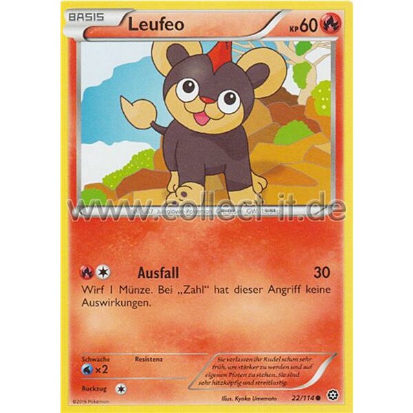 22/114 Leufeo - XY Dampfkessel