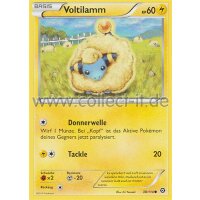 38/114 Voltilamm - XY Dampfkessel