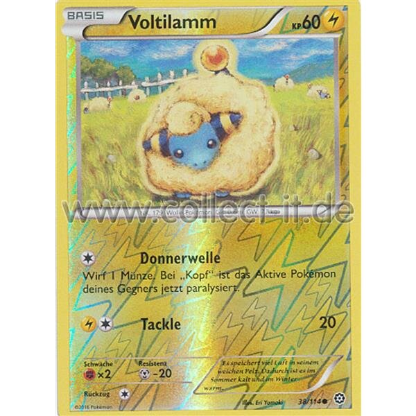 38/114 Voltilamm - Reverse Holo - XY Dampfkessel