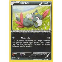 60/114 Sniebel - XY Dampfkessel