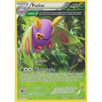 8/108 Pudox | XY Drachenleuchten