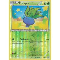 1/98 Myrapla - Reverse Holo | XY Ewiger Anfang