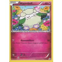 55/98 Waumboll | XY Ewiger Anfang