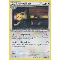 62/98 Snobilikat | XY Ewiger Anfang