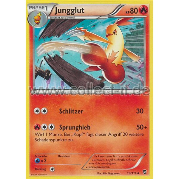 13/111 - Jungglut | XY Fliegende Fäuste