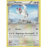 82/111 - Muntier | XY Fliegende Fäuste