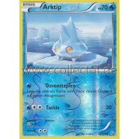 030/106 Arktip - Reverse Holo