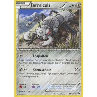 61/106 Fermicula