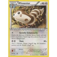 82/106 Wiesenior