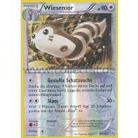 82/106 Wiesenior - Reverse Holo