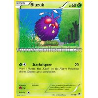 1/119 Bluzuk