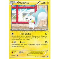 25/119 Pachirisu