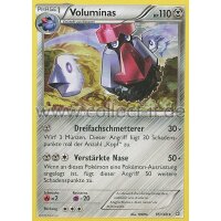 95/160 Voluminas