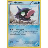 23/122 Muschas - Turbofieber