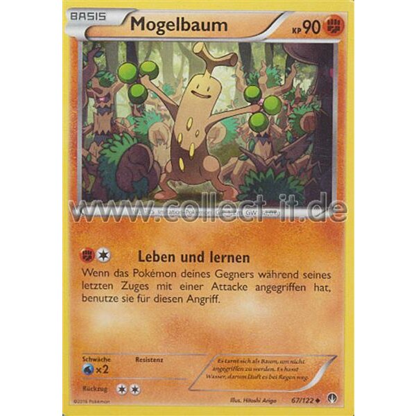 67/122 Mogelbaum - Turbofieber