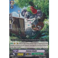 BT07/050 - Canvas Koala