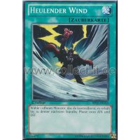 BP02-DE163 Heulender Wind - Common