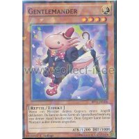 BP03-DE106 Gentlmander - Shatterfoil