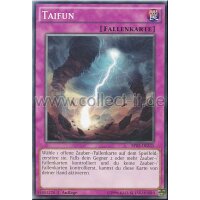 BP03-DE235 Taifun - Common